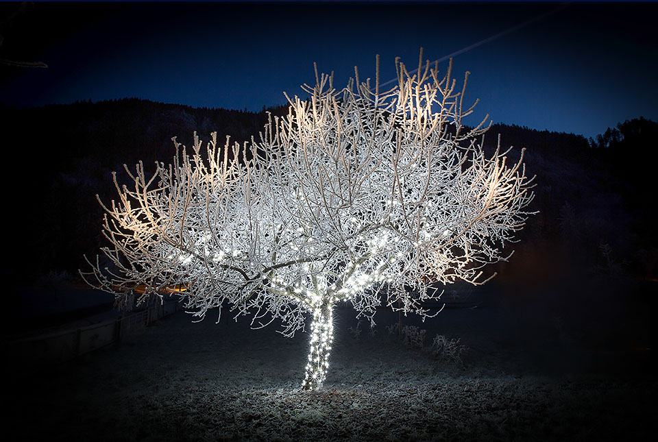 Winter am Prefelnighof