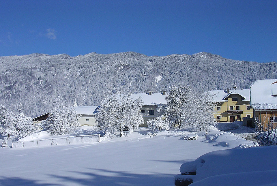 Winter am Prefelnighof