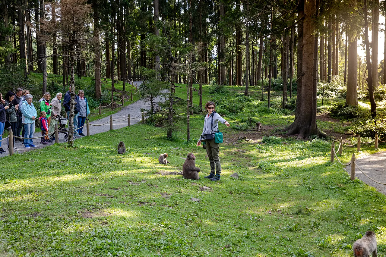 Abenteuer Affenberg Ossiacher See