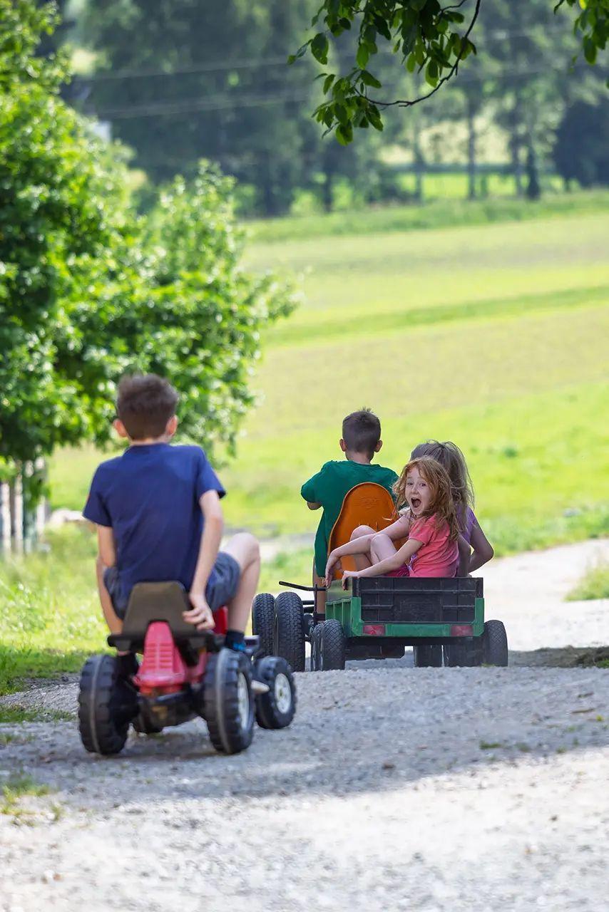 Prefelnighof – Urlaub am Bauernhof Prefelnighof - Urlaub am Bauernhof